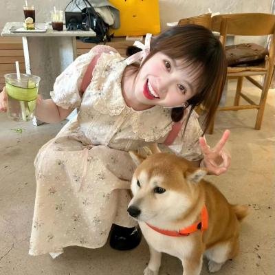 全世界的国王